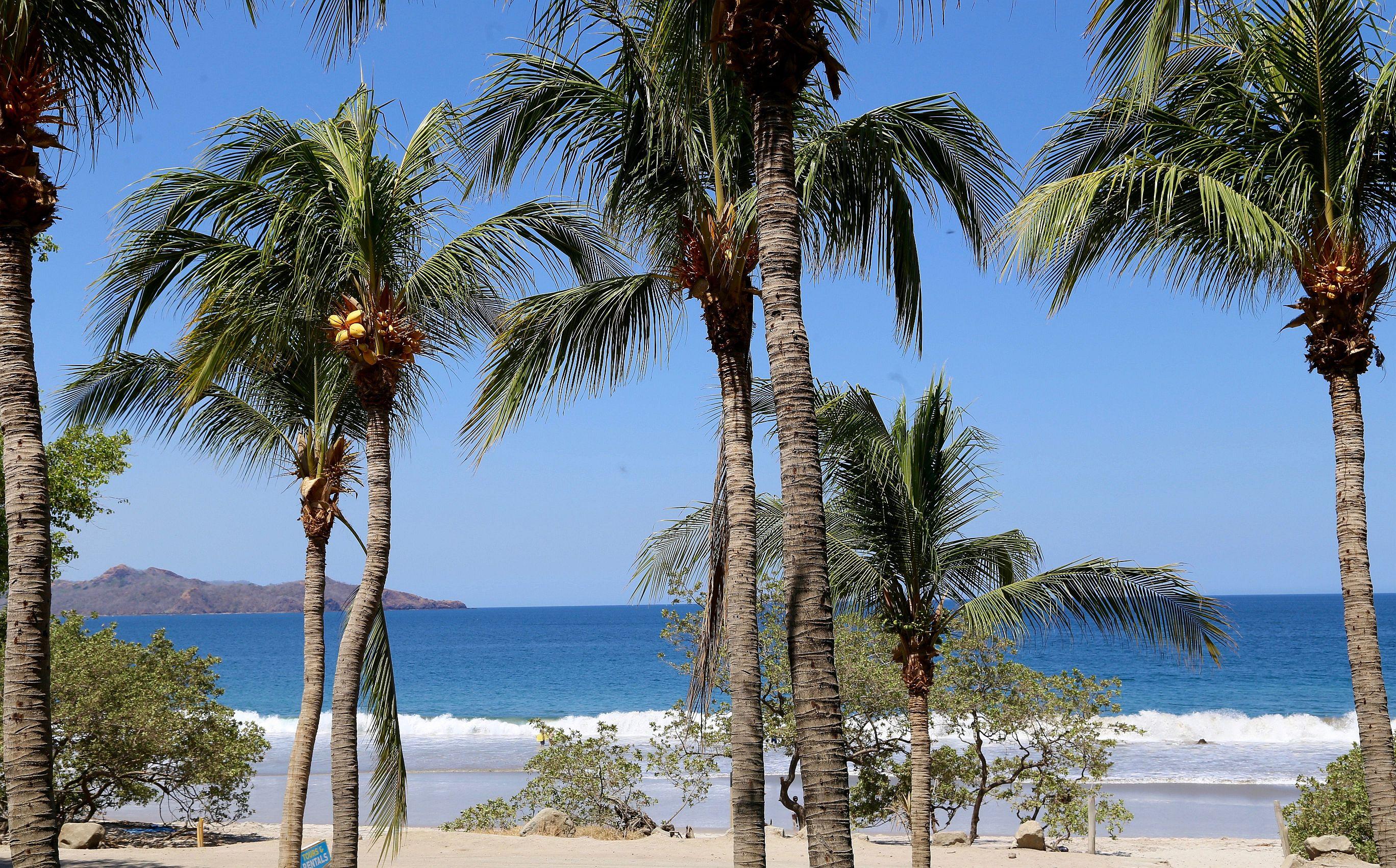 Margaritaville Beach Resort פלאיה פלמינגו מראה חיצוני תמונה